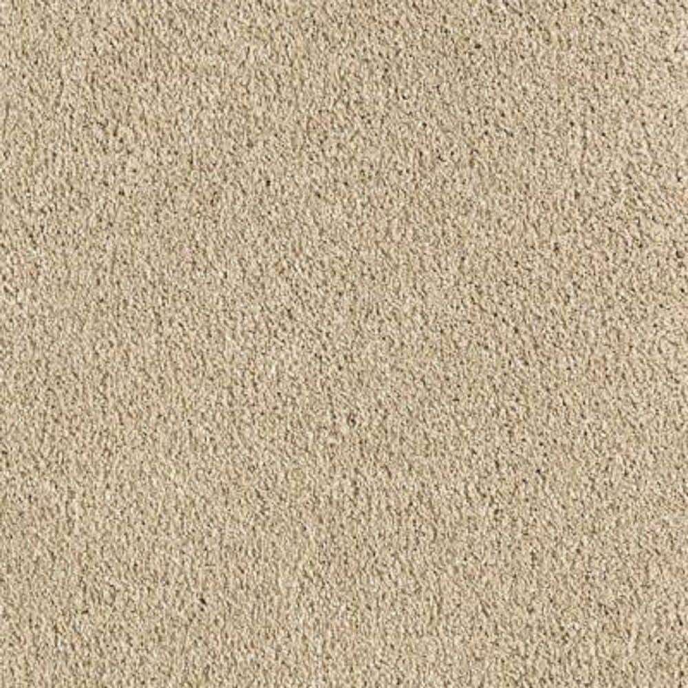 LifeProof Carpet Sample - Pagliuca I - Color Tender Tan Texture 8 in. x