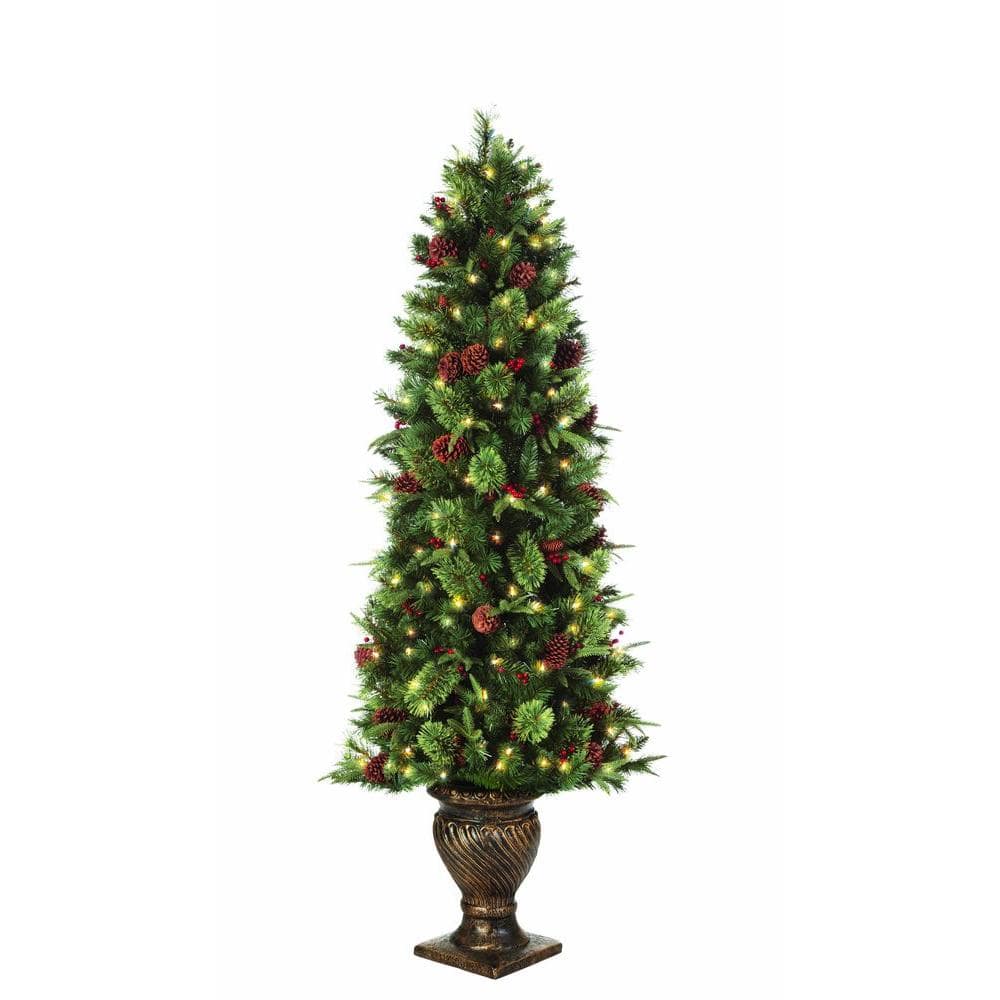 Potted Christmas Trees - Buy Potted Christmas Tree Online | Santa's Site