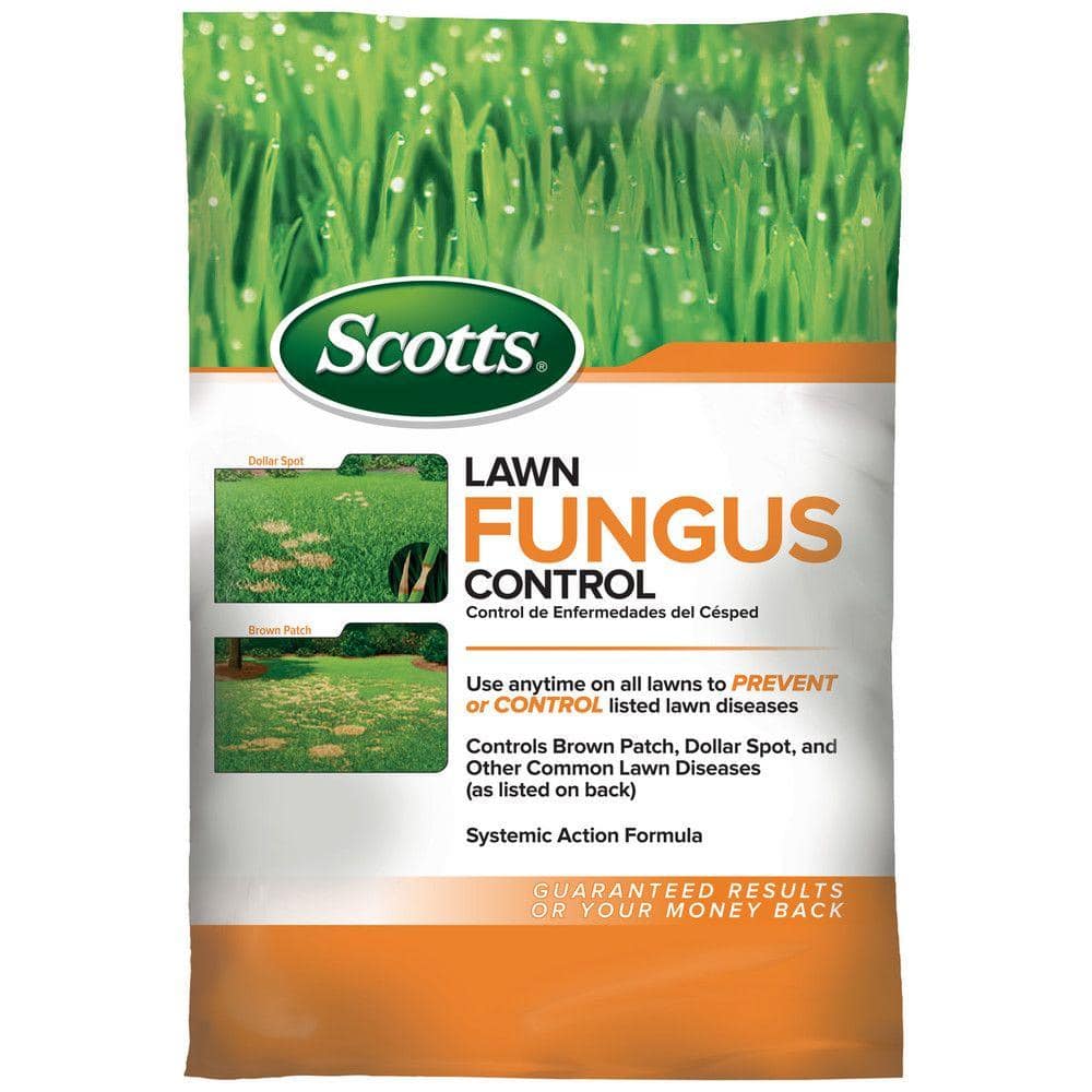 How can I tell if I have fungus in my grass?