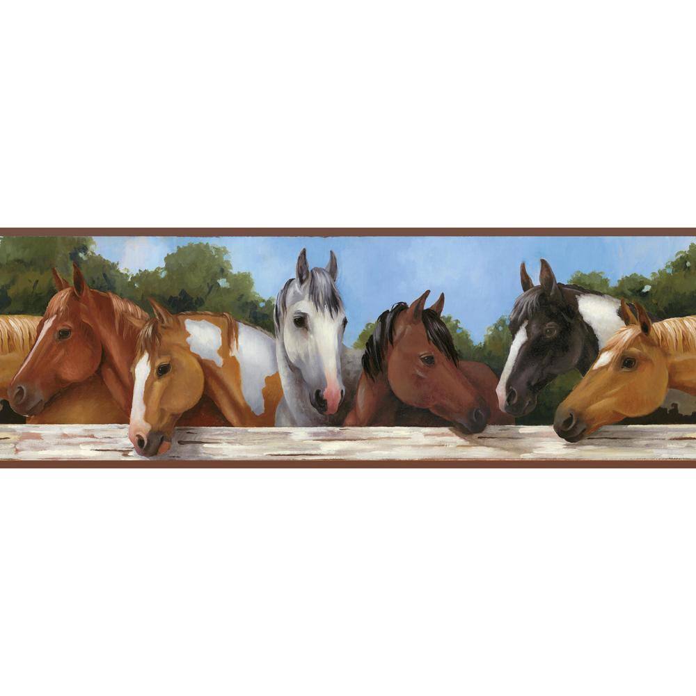 York Wallcoverings Brothers and Sisters V Hooray For Horses! Wallpaper BorderSB7540BD  The 
