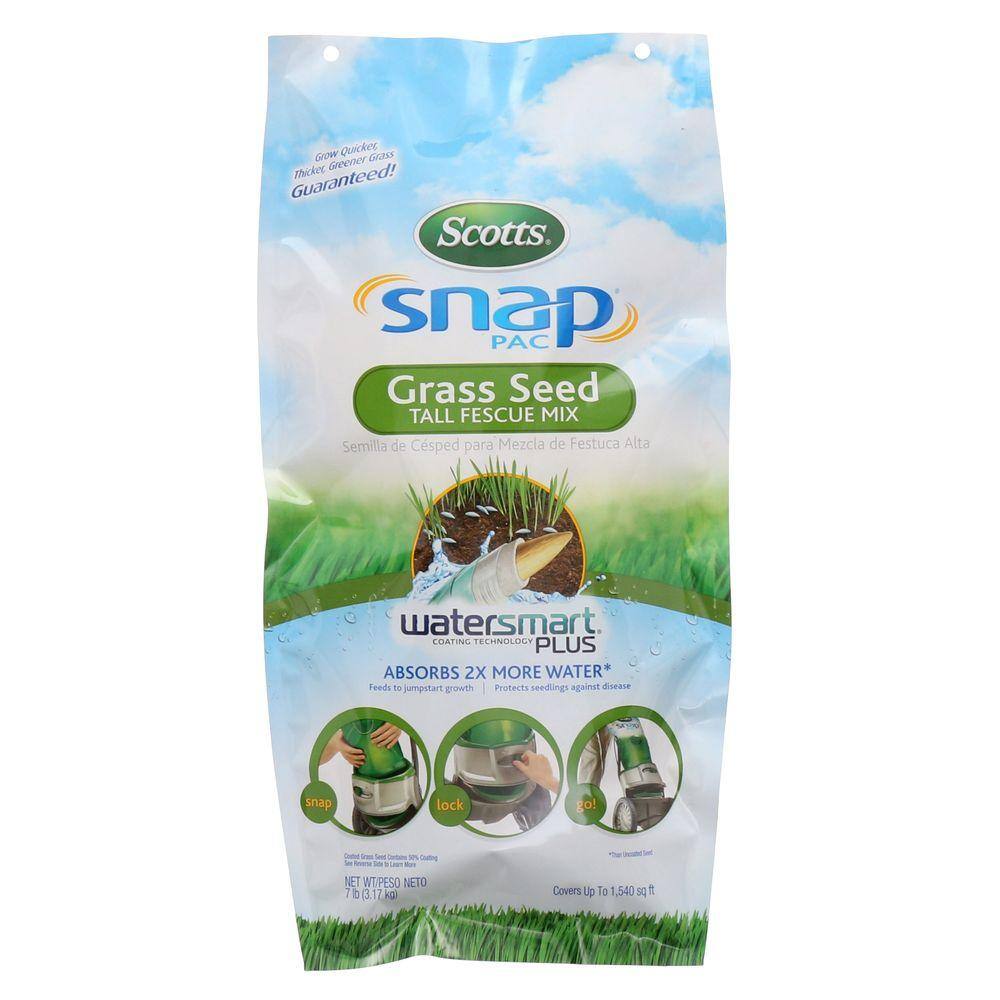 Grossology grass seed reviews