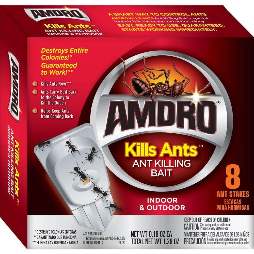 What are some indoor ant control options?