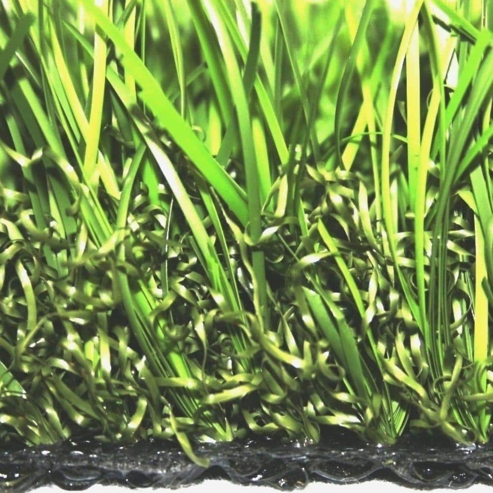 StarPro Greens Centipede Southwest Synthetic Lawn Grass ...