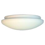 Light Covers - Ceiling Fan Parts - Ceiling Fans &amp; Accessories - The ...