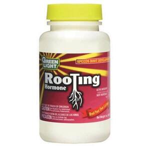 Does Walmart Carry Rooting Hormone