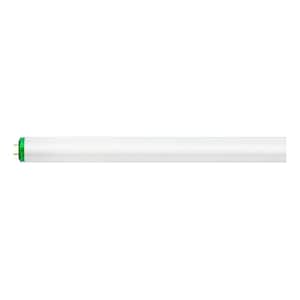 Cool White Fluorescent Lights For Growing