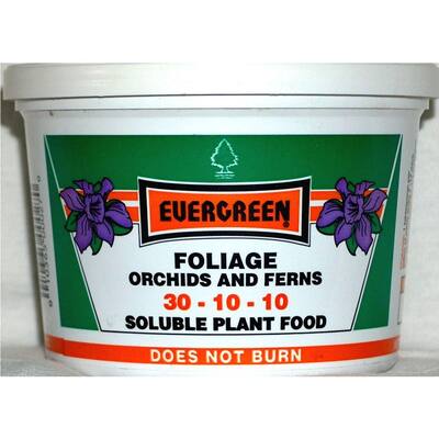 Orchid Fertilizer on Evergreen Foliage Orchids And Ferns 0 5 Lb  Plant Food 30 10 10  5 At