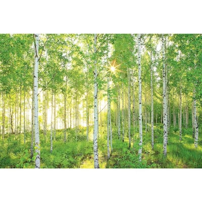 National Geographic100 in. x 145 in. Sunday Wall Mural