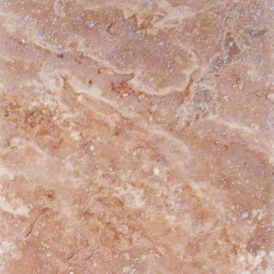 M.S. International Inc. English Walnut 12 in. x 12 in. Honed Travertine Floor & Wall Tile CENGWAL1212