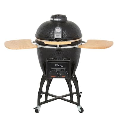 Home depot primo grill