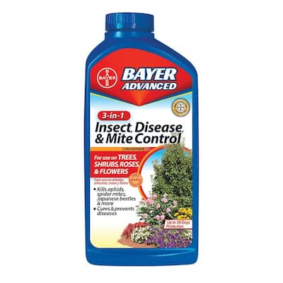 bayer mite concentrate mites homedepot pest