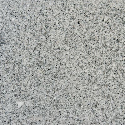 M.S. International Inc. 12 in. x 12 in. White Sparkle Granite Floor and Wall Tile TBIACTLN1212