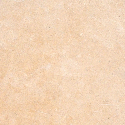 M.S. International Inc. 16 in. x 16 in. Princess Gold Limestone Floor and Wall Tile TPRNGLD1616H