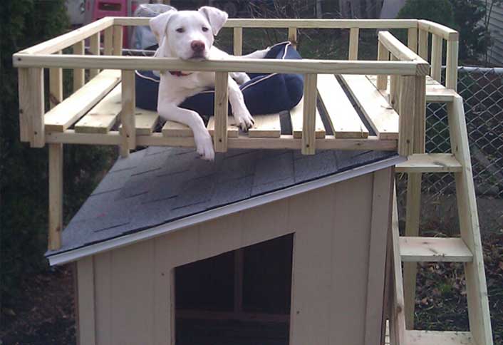 How To Build a Dog House with Sun deck at The Home Depot