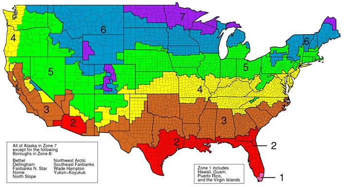 US map US map