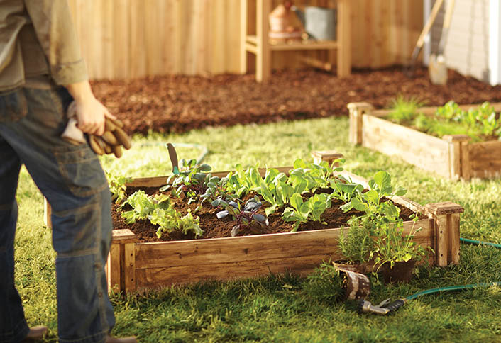 Tips to Planting Vegetable Seeds at The Home Depot
