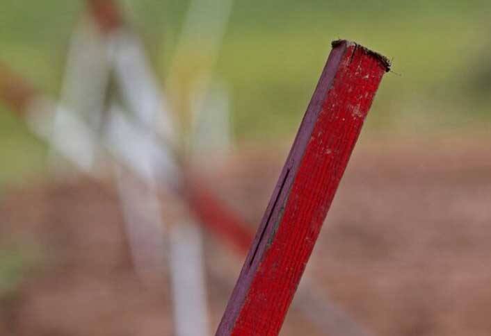 Drive stakes into ground - Stake a Tree Drive stakes into ground - Stake a Tree