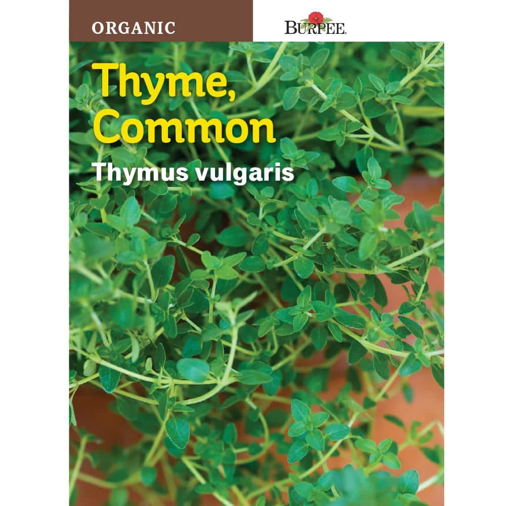 organic vegetable & herb seeds