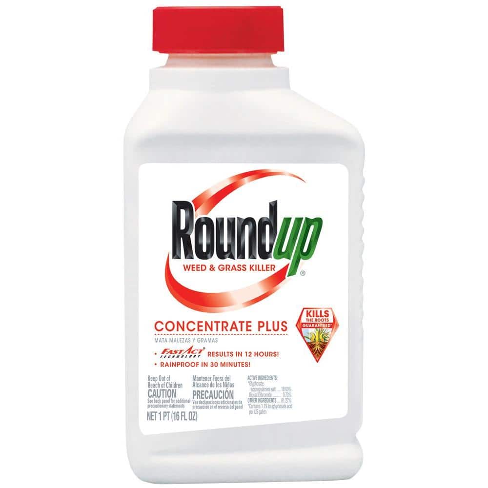 Roundup 16 oz. Concentrate Plus Weed and Grass Killer 