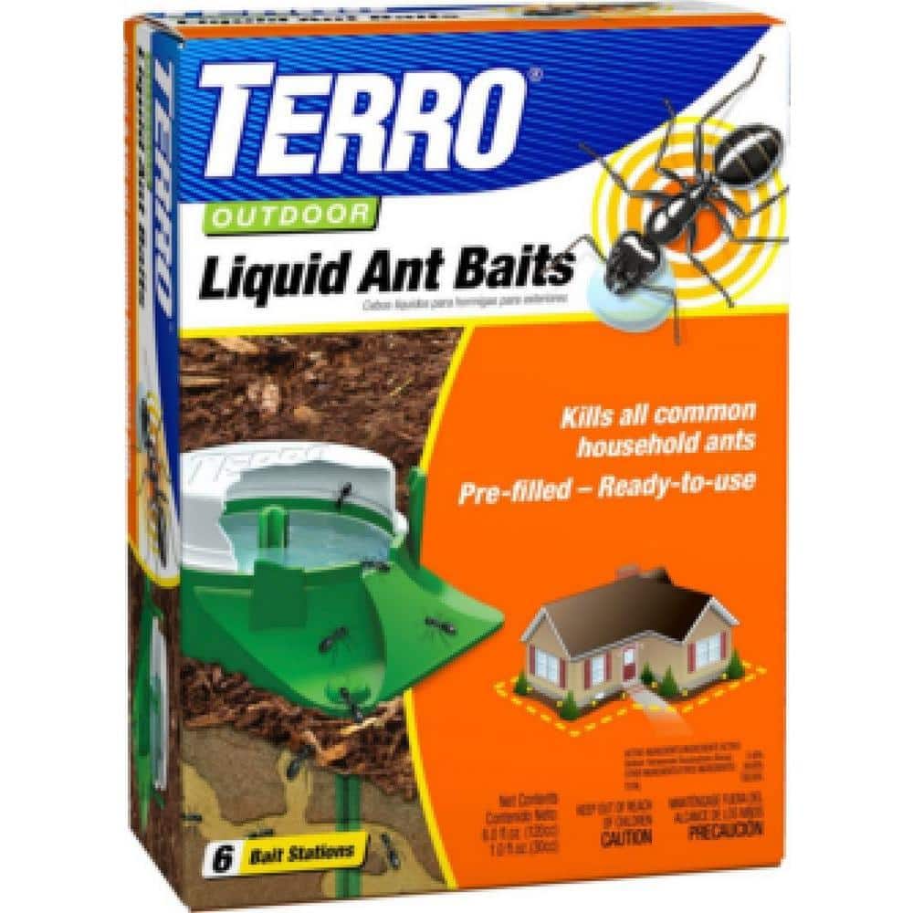 best ant poisons