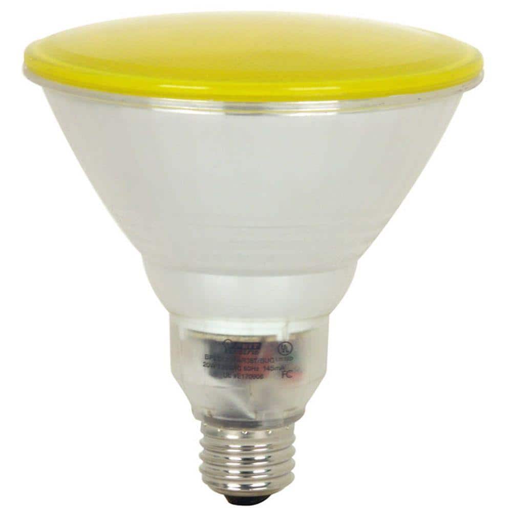 Bug Light Bulbs