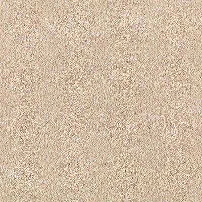 Beige / Cream - Carpet - Carpet & Carpet Tile - The Home Depot