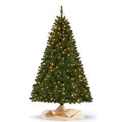 Christmas Trees at The O.C. Fairgrounds - 19 Reviews - Christmas ... Christmas Trees at The O.C. Fairgrounds - 19 Reviews - Christmas ...