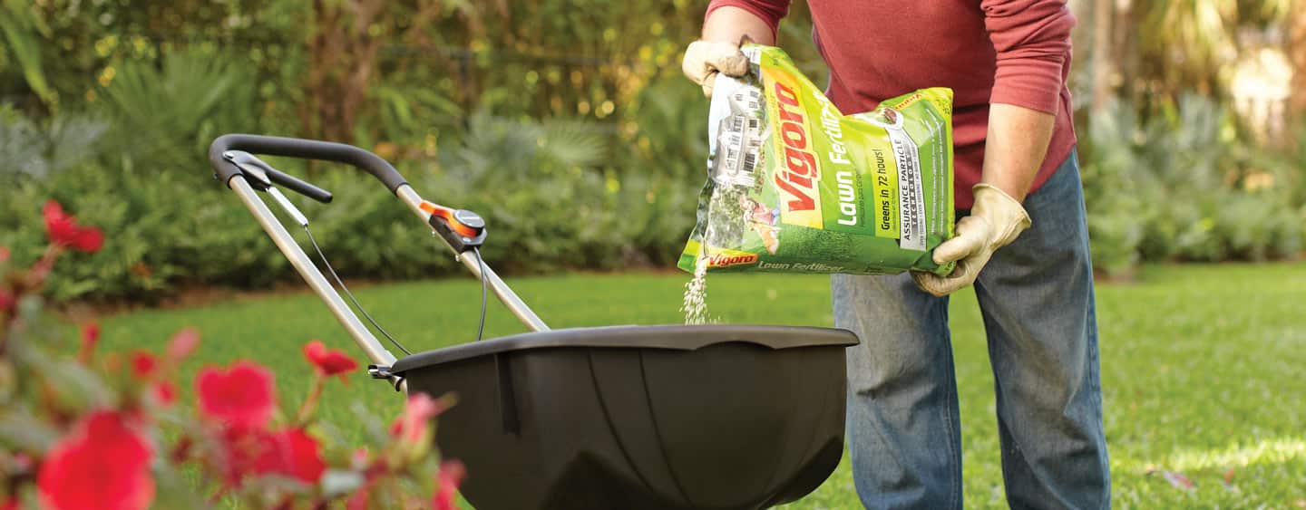 Know more about the right fertilizers for your garden at The Home Depot