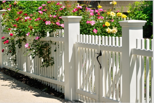 Outdoor Structures and Fencing